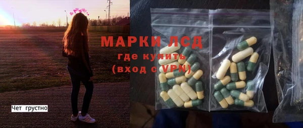 стаф Новодвинск
