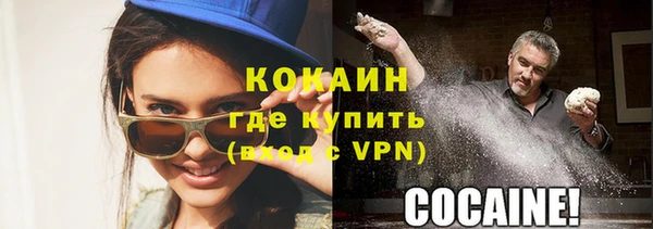 СК Новозыбков