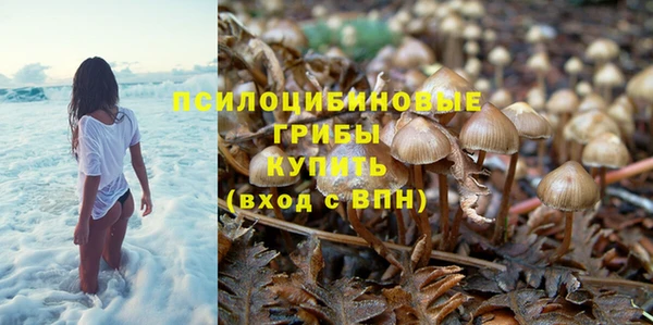 соль курить ск Нефтекумск