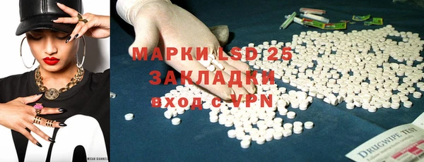 стаф Новодвинск