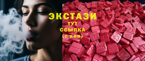 СК Новозыбков