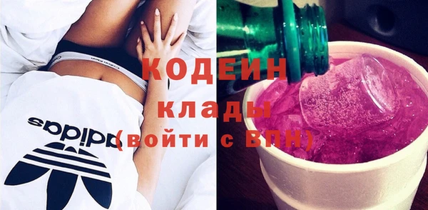 СК Новозыбков