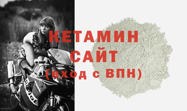 стаф Новодвинск