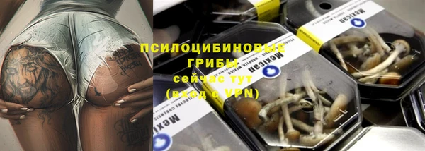 стаф Новодвинск