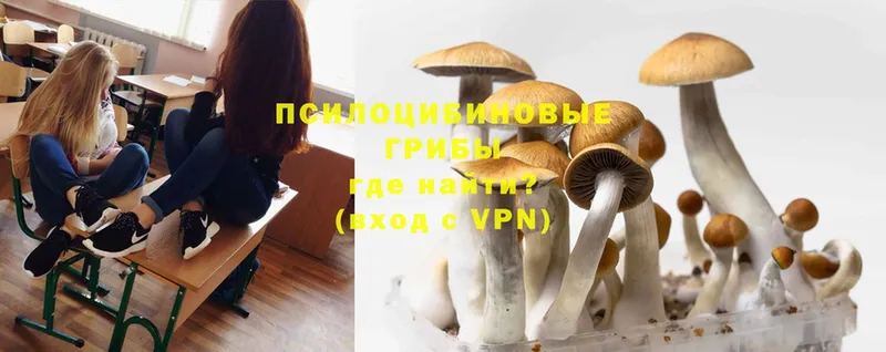 как найти   Починок  ссылка на мегу tor  Галлюциногенные грибы Magic Shrooms 