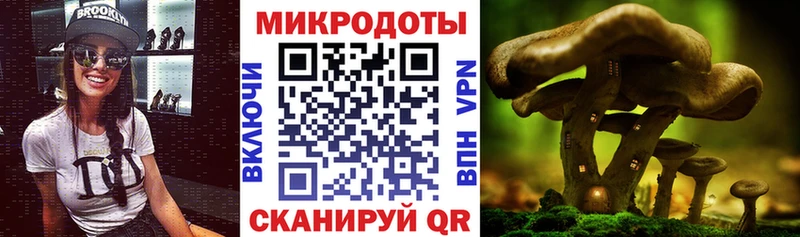 ОМГ ОМГ вход  Починок  Галлюциногенные грибы MAGIC MUSHROOMS 